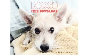 Download-Rocco1